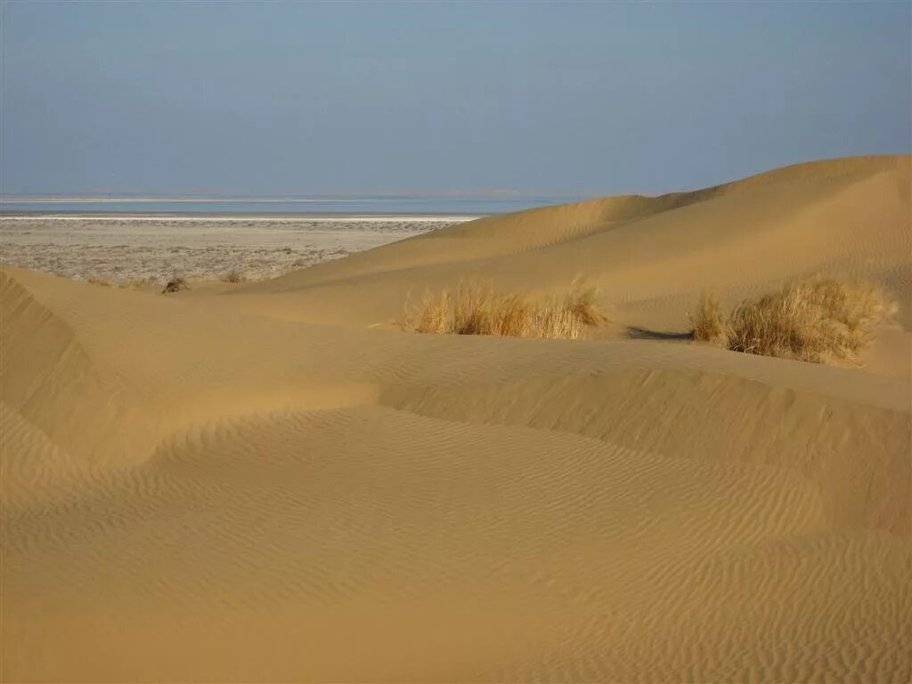 Пустыни каспия. Засоление почвы в туркменистан. Пустыня каракум в туркменистане. Пустыня каспийского моря. Каспийские пустыни.