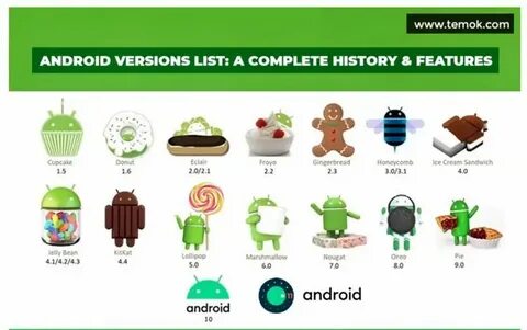 Қыз колготки, бюстгалтер, юбка, трусики шешті.