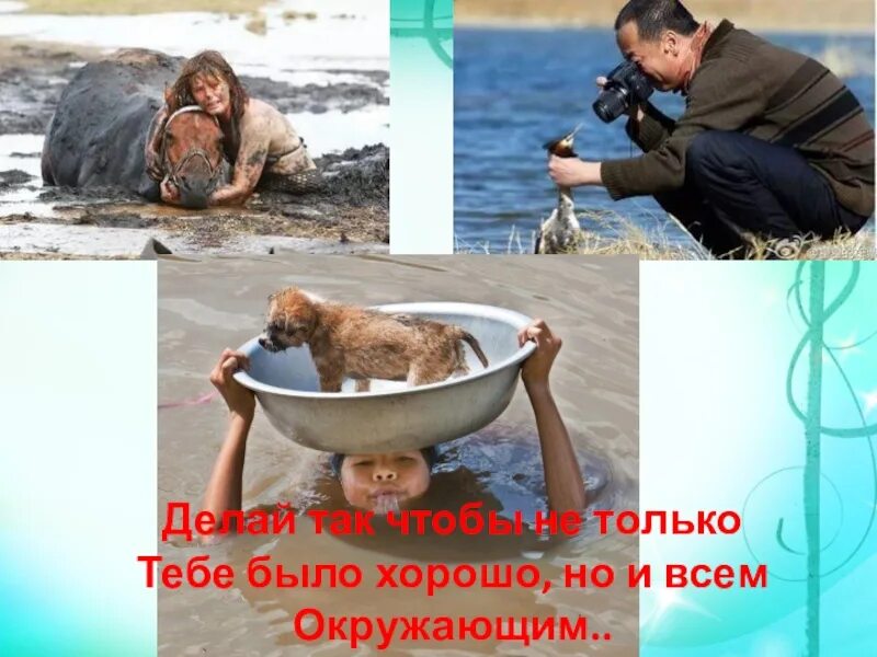 Как человек менял природу. Картинка на тему как человек изменял природу. как человек изменял природу 5 класс биология. как человек изменял природу 5 класс биология презентация. доклад на тему как человек изменял природу 5 класс по биологии.