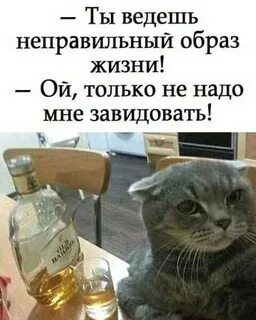 Ой жизни