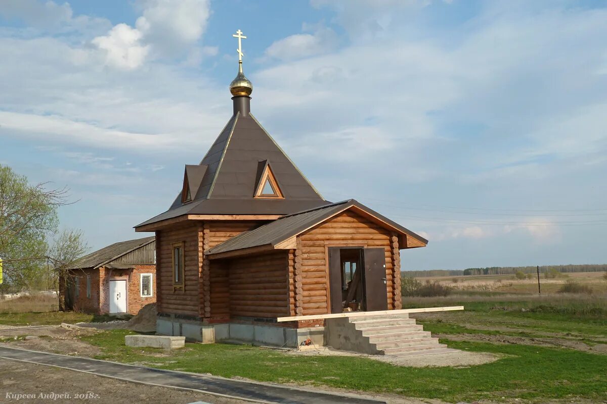 Фото: Орловское Полесье, лесопарк, Россия, Орловская область, Хотынецкий район, 