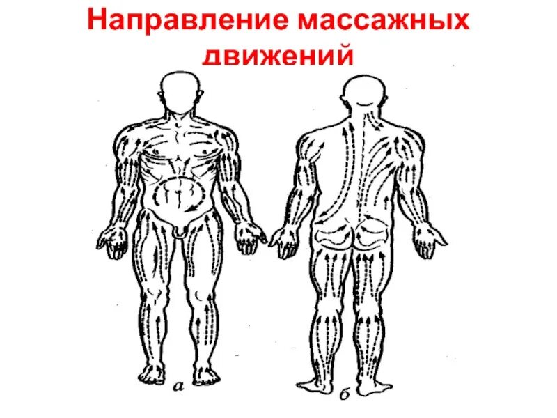 Направление массажных движений при массаже. Схема направления массажных движений. Направление движений при массаже схема. Направление массажных движений в области спины.