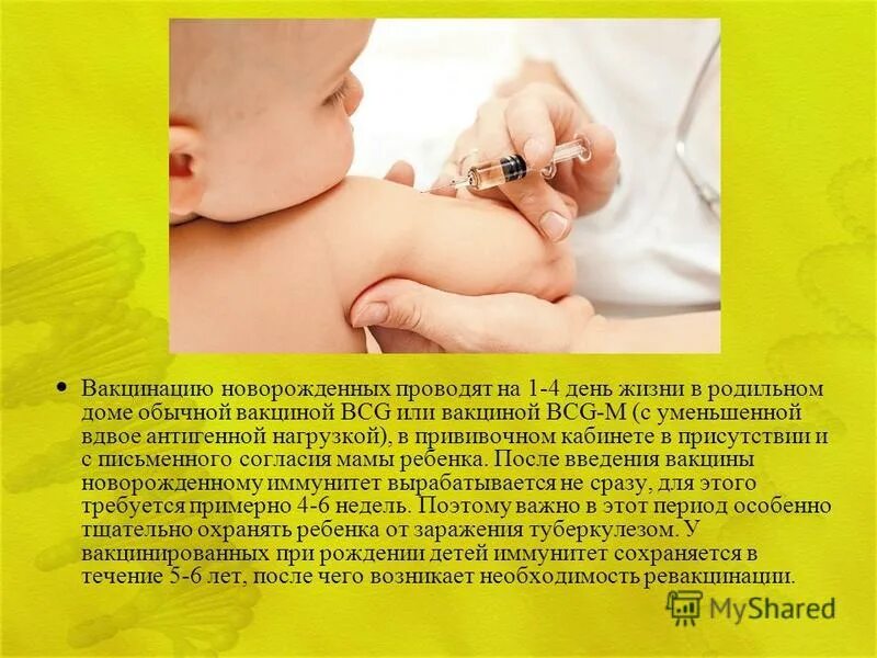 вакцинация бцж новорожденным. вакцина бцж. новорожденному ставят прививку. первая прививка у младенца. новорожденному ставят прививку.