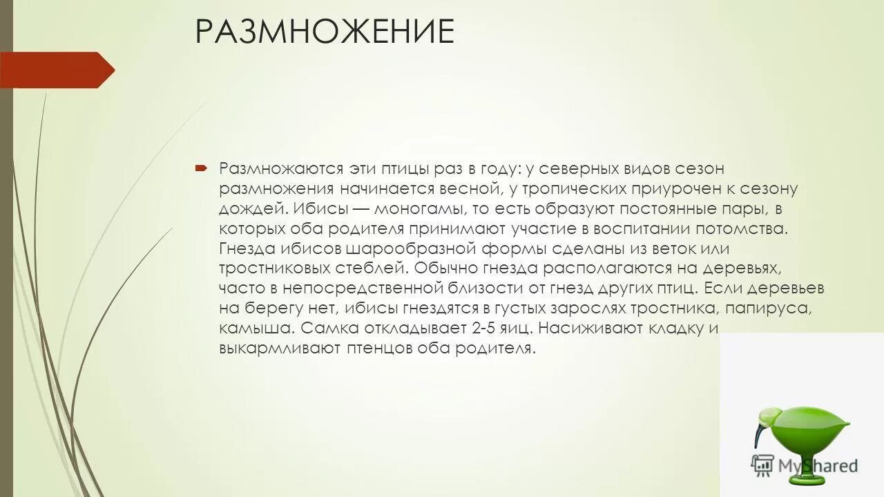 наркологическая клиника в казани адреса. про докторов ибис. медицинской центр ибис казань сотрудники центра. ибис птица символ.