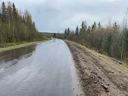 Киров мураши
