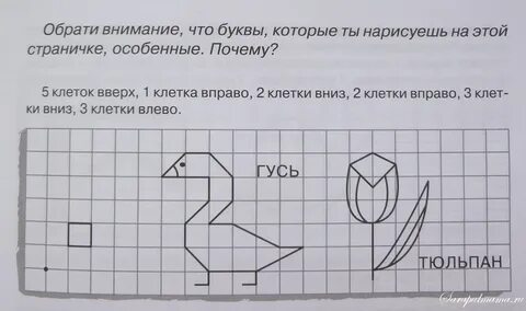Математика 2 класс утка