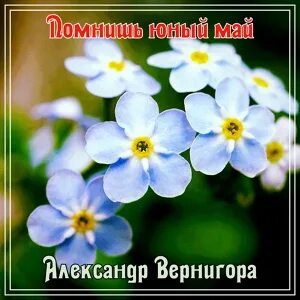 Май молода