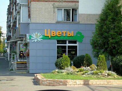 Лотос магазин