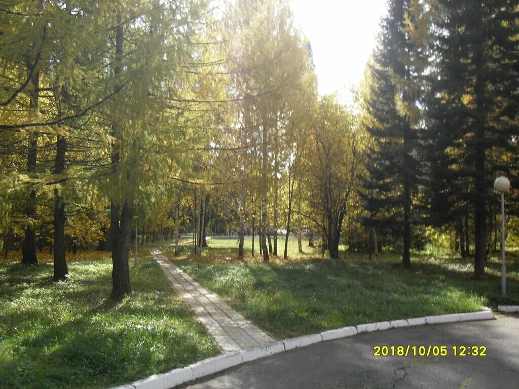 Дом инвалидов в ульяновске золотая осень. Дзержинского 13 иваново. Октябрь золотая осень. Пансионат для пожилых кемеровская область. Пейзаж ульяновской области.