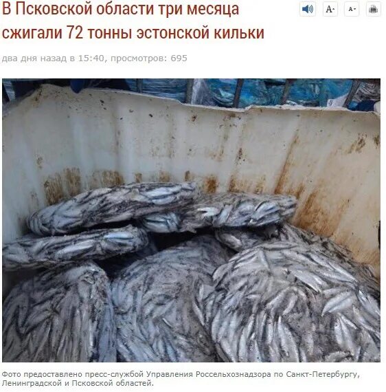 100 Тонн рыбы. В России сожгли 72 тонны кильки.