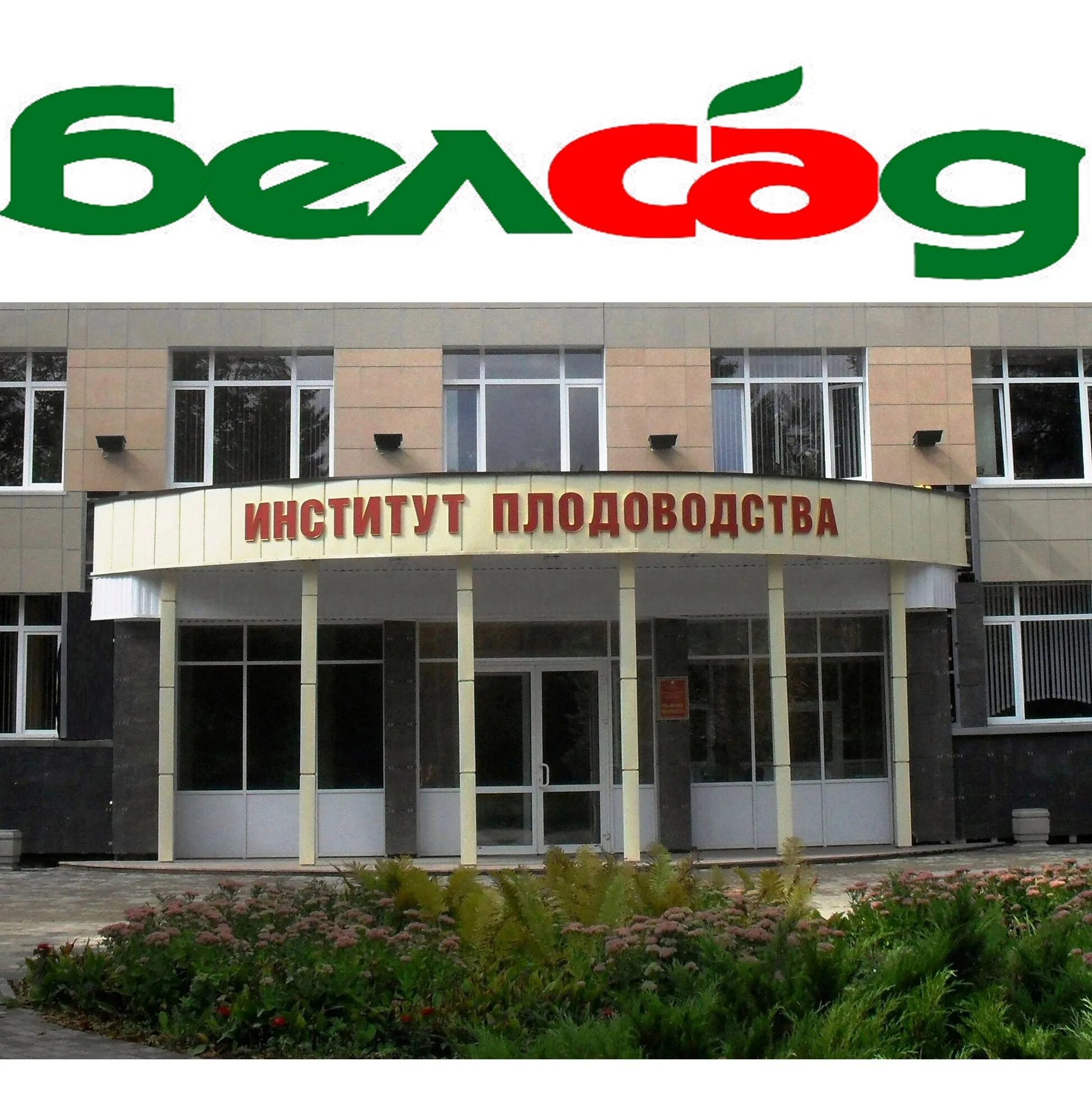 Институт садоводства в бирюлево. Belsad екатеринбург. Институт плодоводства. Институт плодоводства. Институт плодоводства.