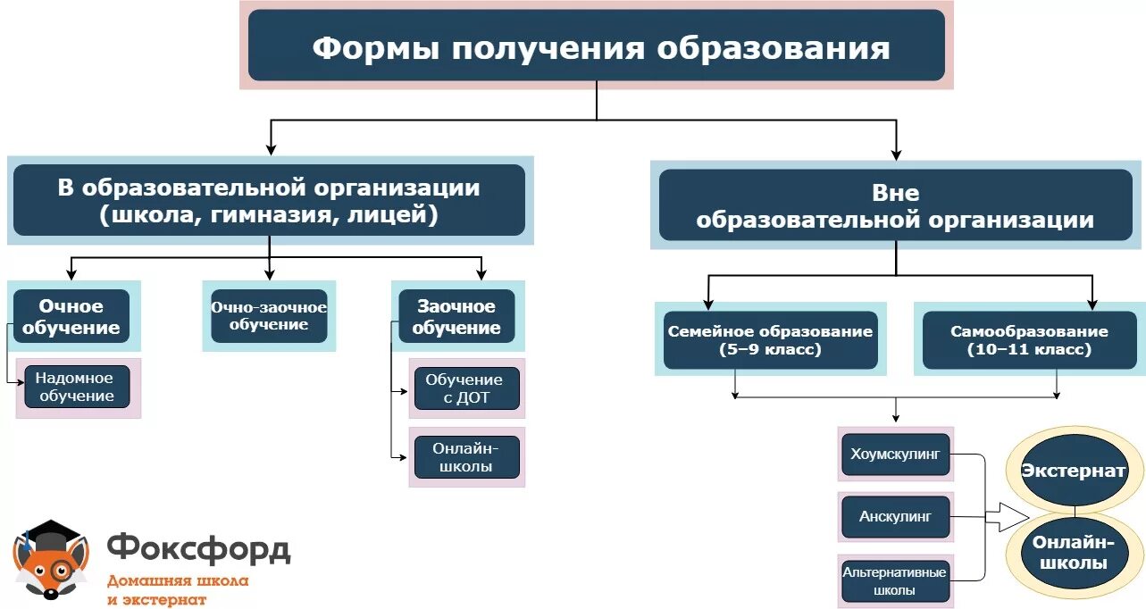 Заочное образование направления. Формы получения образования. Порядок получения образования. Форма получения образования и форма обучения в школе. Виды очного обучения.