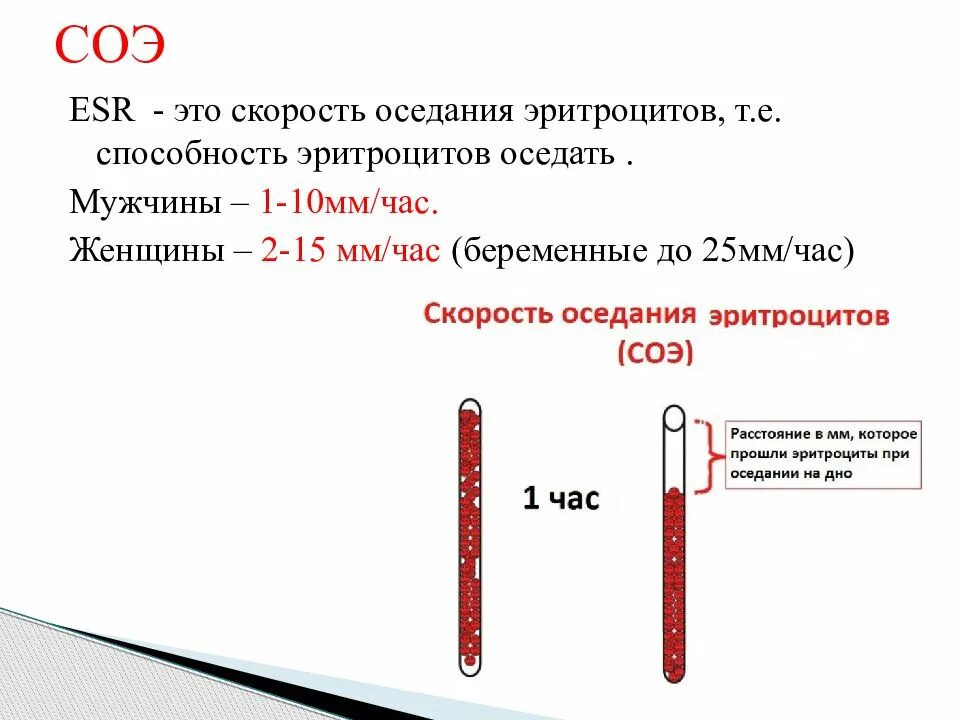 Роэ в крови у мужчин. Скорость оседания эритроцитов (СОЭ). Методика измерения скорости оседания эритроцитов. СОЭ 40 мм час. Методика определения СОЭ физиология.