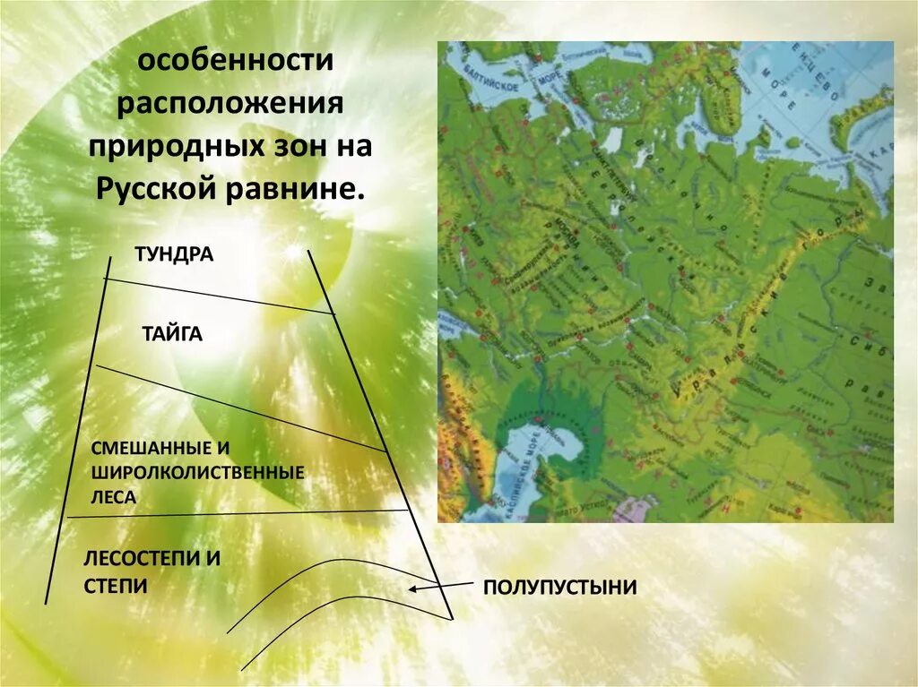 Положение в природных зонах восточно европейской. Зоны русской равнины. Природные зоны Восточно европейской равнины. Русская равнина природные зоны. Природно-территориальный комплекс Восточно-европейской равнины.