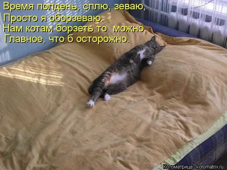 полдня спал