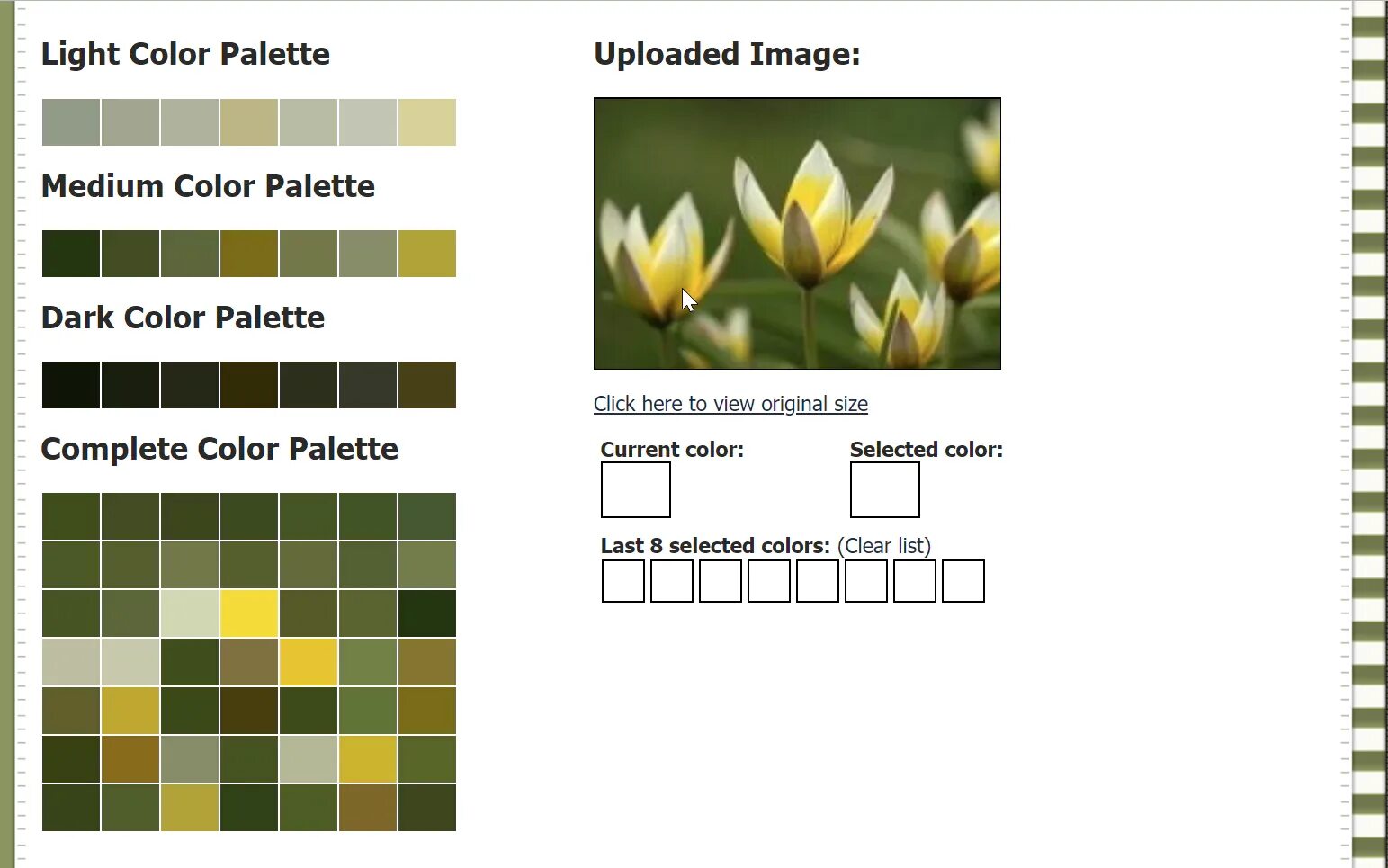 Medium color. Схема цветов html. генератор цвета. color palette generator. css color generator.