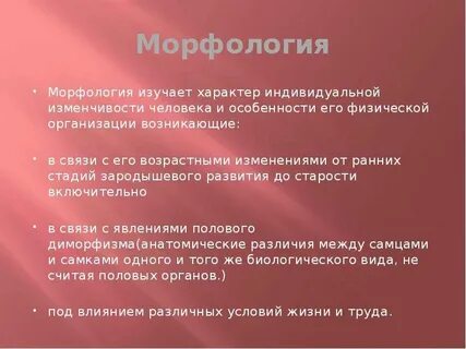 Морфология изучает