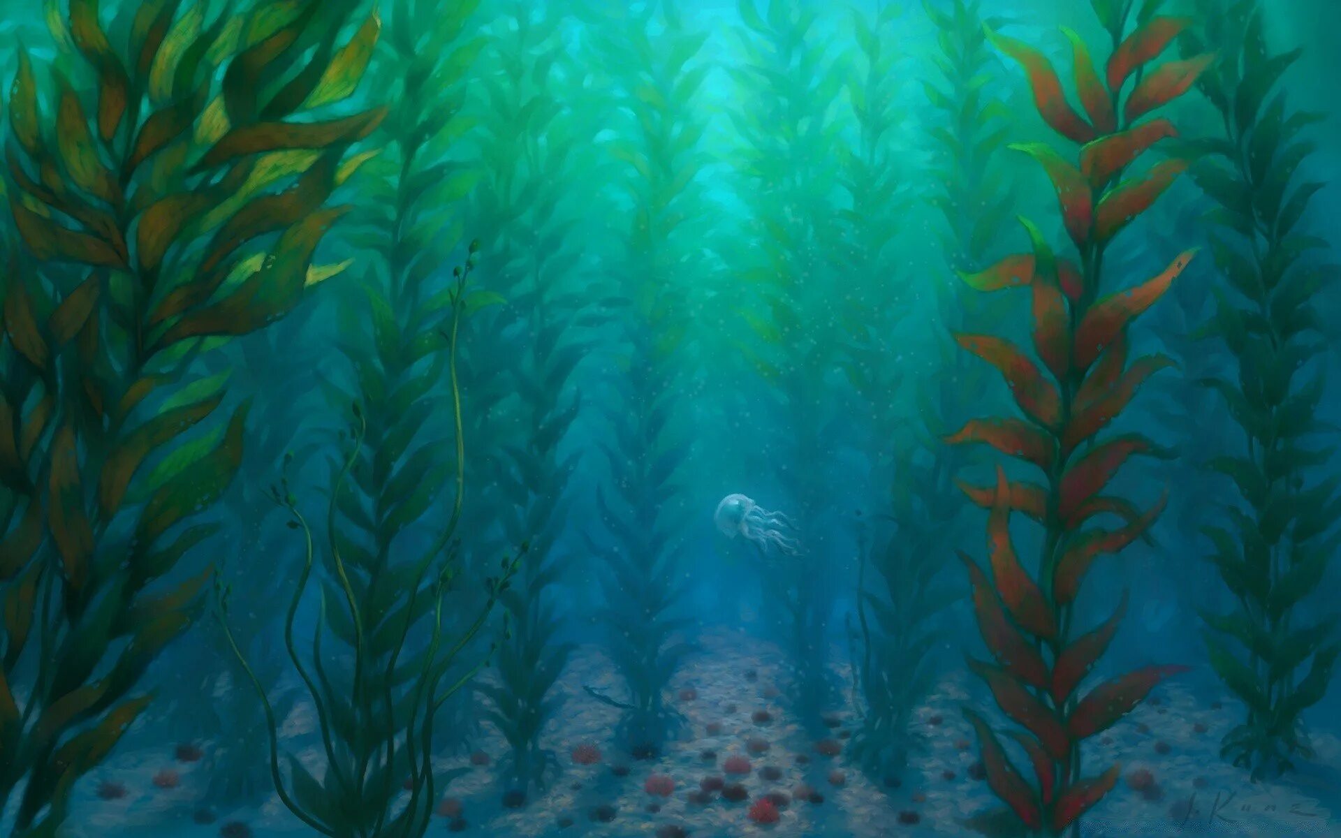 Водоросли и свет. Морское дно. Подводной пейзаж. Речное дно. Морское дно с водорослями.