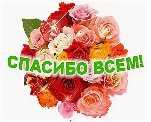 Я ответил спасибо