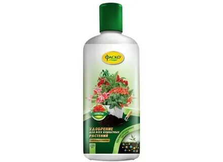 Фаско для кактусов