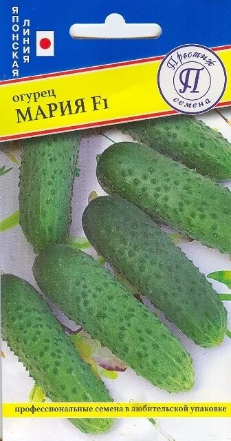 Огурец Мария F1 10 шт семена купить Минск цены доставка