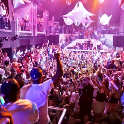 Liv майами. Liv майами. Девушки в клубе фото. After night club. Ночной клуб.