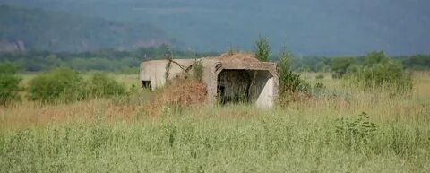 Михайловка амурская область