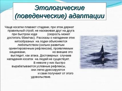 Адаптация рыб