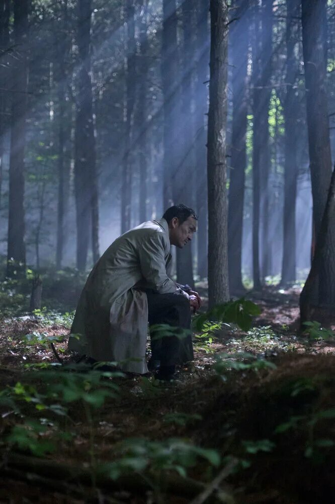 аокигахара лес с мертвецами. лес самоубийц мэттью макконахи. лес самоубийц 2015 отзывы. мэттью макконахи море деревьев. лес самоубийц 2015 отзывы.