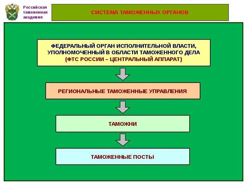 Деятельность таможенных органов рф