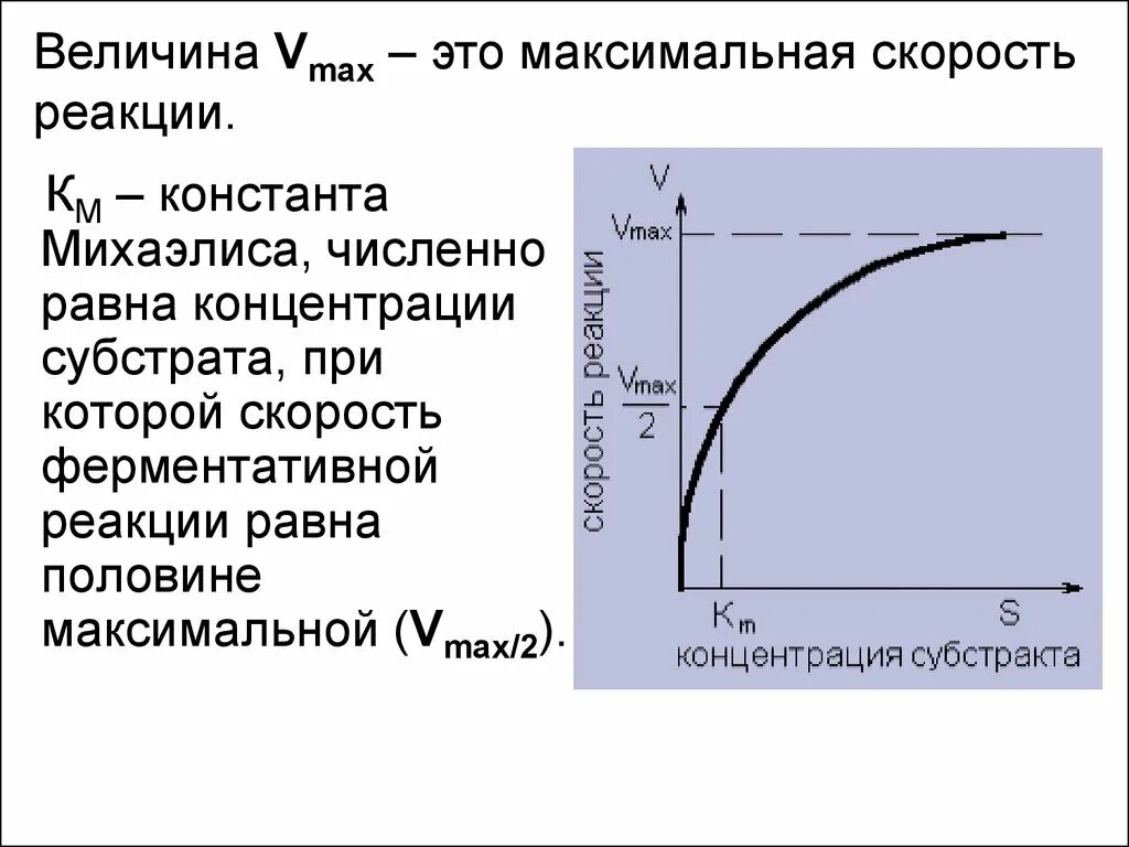 Зависимость ферментов от концентрации субстрата. Характеристика константы Михаэлиса-Ментен. Константа Михаэлиса биохимия зависимость. График зависимости активности ферментов от концентрации субстрата. Константа Михаэлиса единица измерения.