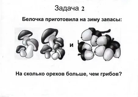Конспект урока белки 10 класс
