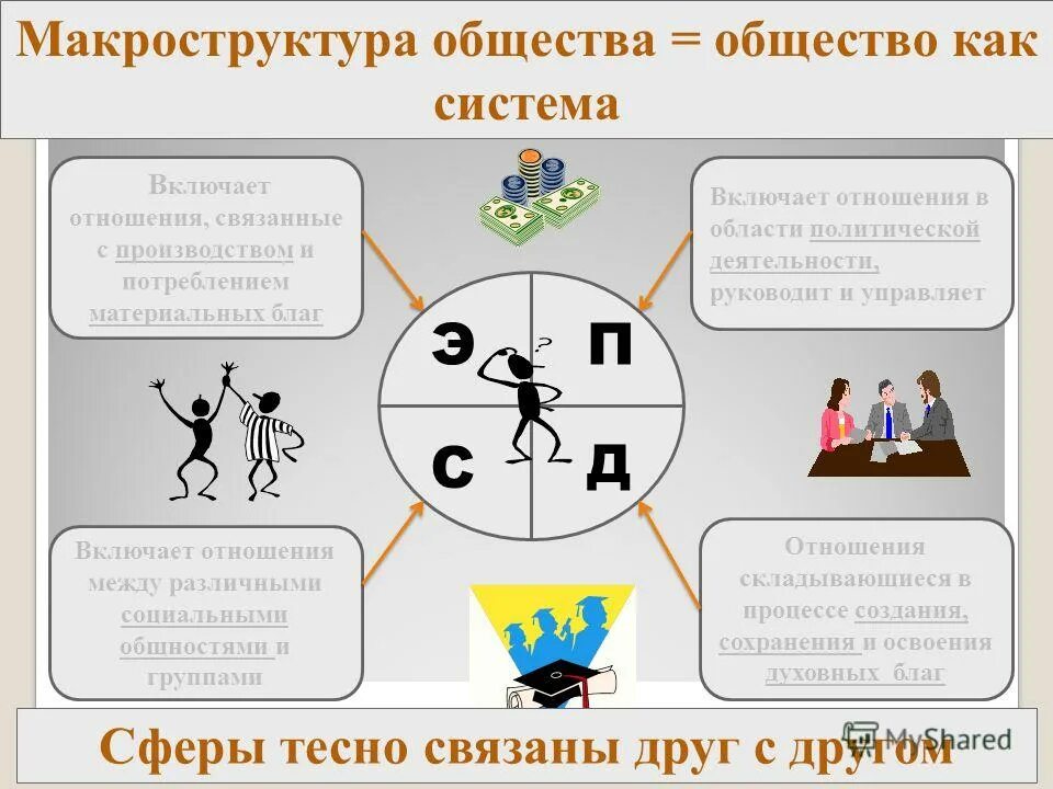 тесно связаны друг с другом. сочинение о природе. биогеоценоз дубравы абиотические факторы. высшие психические процессы. тесно связаны друг с другом.