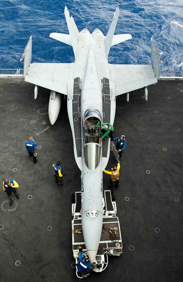F18 c