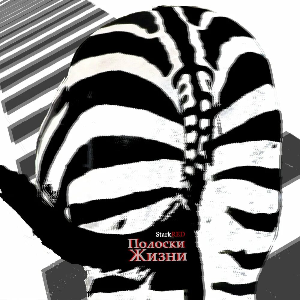 Черно белые полосы. Черно белая полоса в жизни. Открытки с зеброй. Черное белое жизнь. Разноцветная зебра с днем рождения.