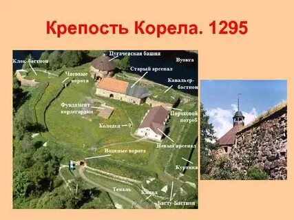 Корела размер