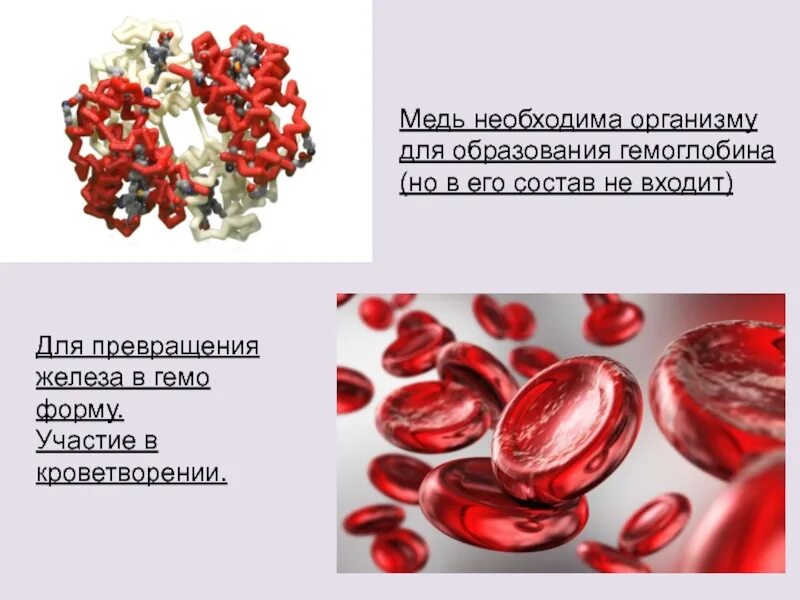 Микроэлемент входящий в состав гемоглобина. Медь в продуктах. медь участие в образовании гемоглобина. медь микроэлемент для человека. где в организме содержится медь.