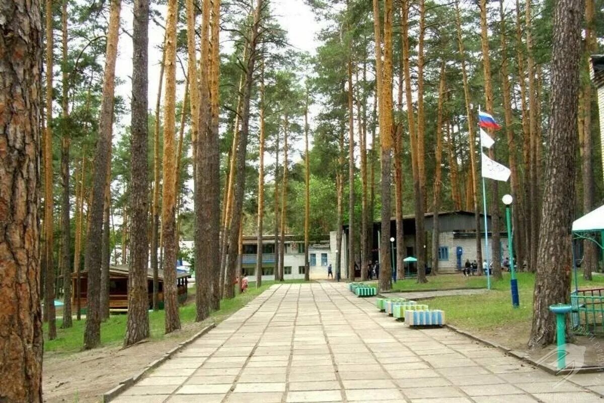 Дол городская область. Сосновый Бор Пенза лагерь. Лагерь Сосновый Бор Пензенская область. Лагерь Сосновый Бор Красноярск. Сосновый Бор Проскоково лагерь.