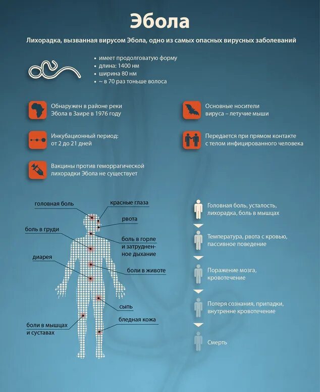 Имеет удлиненную форму в. Лихорадка Эбола инкубационный период. Лихорадка Эбола клиника. Лихорадка Эбола симптомы.