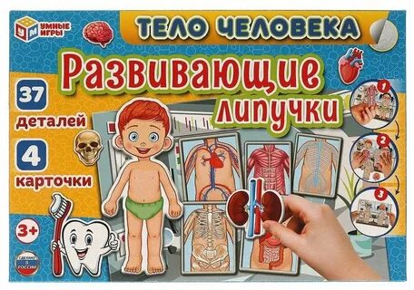 Развивающая игра человек