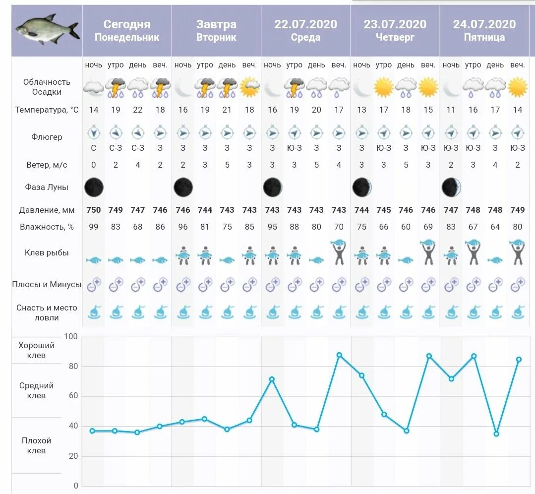 Прогноз клева на 14. Прогноз клева. График клева. Клев на завтра. Рыболовный календарь.