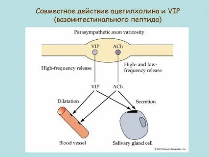 Совместное воздействие
