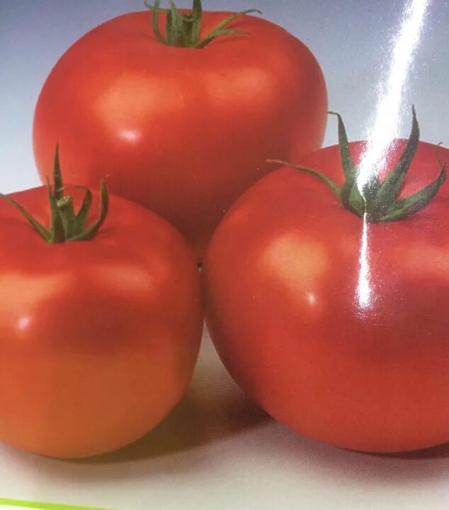 сорт помидор хлебосольные. томат мау фей. томат фея отзывы. томат фея f1. томат фея отзывы.
