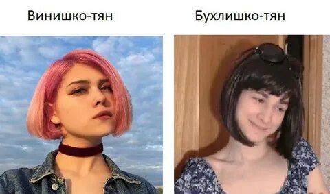 Винишко тян кто это