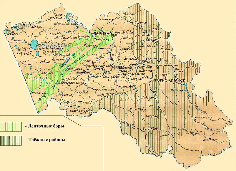 Карта растительности Алтая. Карта растений Алтайского края. Ленточный Бор Алтайского края на карте. Карта рельефа Алтайского края. Зоны республики алтай