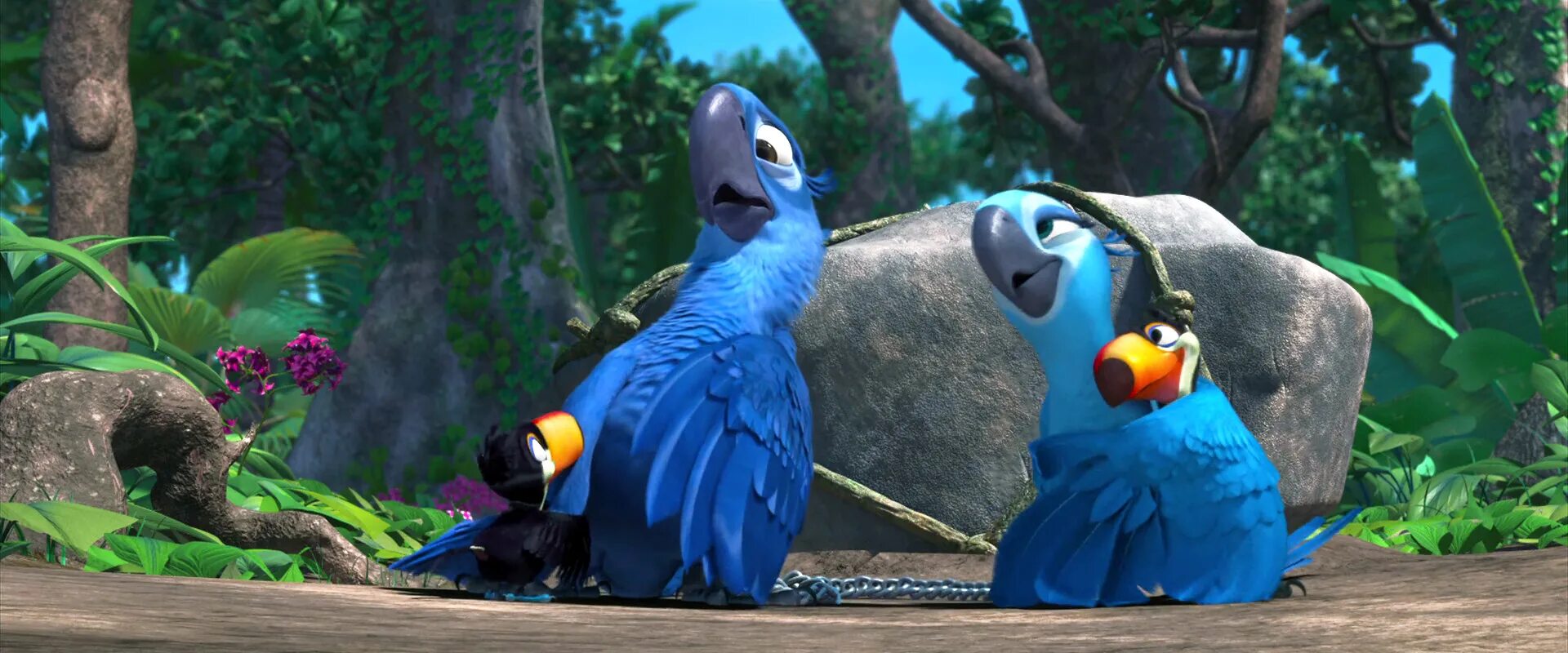 Рио 2 [Rio 2] (2014). Попугай Рио 2. Rio Голубчик. Rio jewel