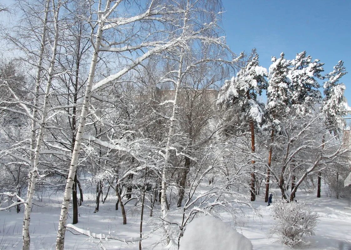 киров в марте. снег весной. какой снег в марте. март проталины подснежники. снег в апреле.