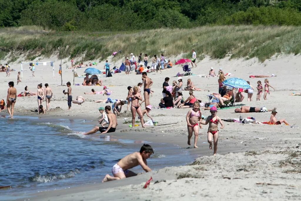 Где купаться в июле. Балтийск Калининградская область пляж. Дикие пляжи Калининградской области. Калининград пляжи для купания. Балтийский городской пляж.
