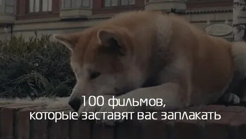 Верный друг 2