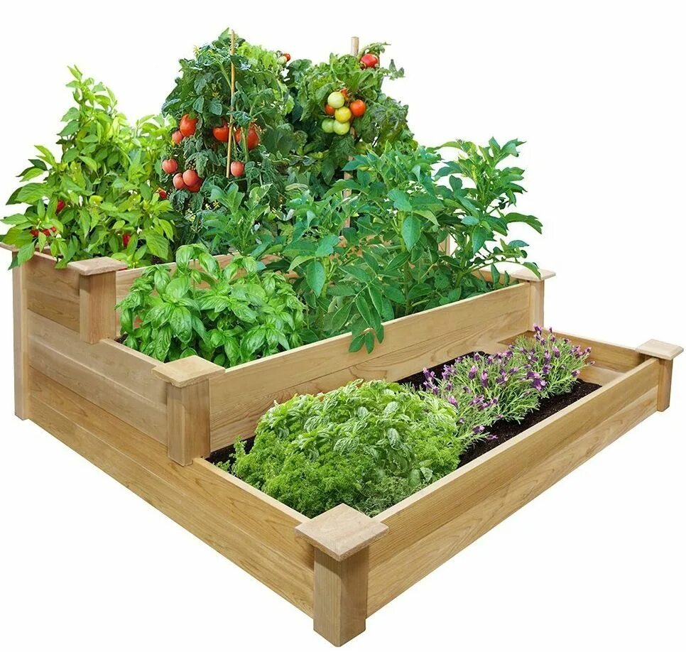 Огород на даче. Пластиковые высокие грядки. Огород в ящиках. Капуста и бархатцы соседство. Дача сад огород.